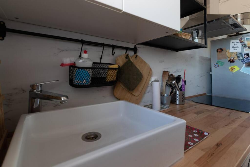 Cabana & Grand Appartement Cosy - Parking & Balcon Villefranche-sur-Saône Esterno foto